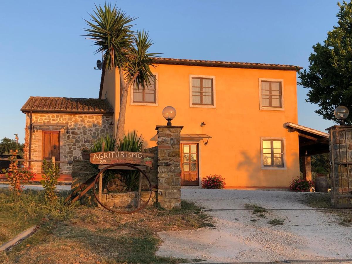 Agriturismo Il Saragiolo Villa Montemerano Exteriör bild